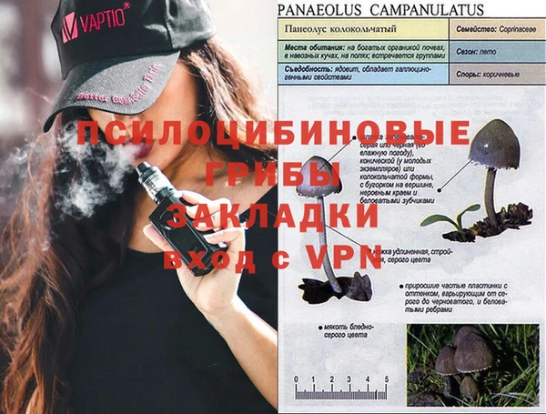 ALPHA PVP Алексеевка