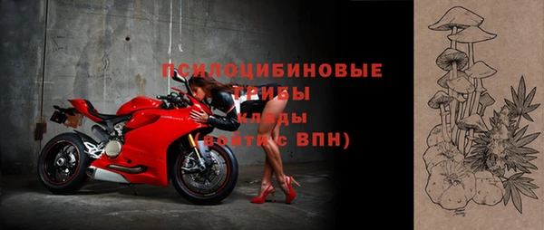соль ск Алзамай