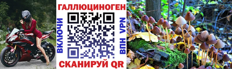 Галлюциногенные грибы ЛСД  Луза 